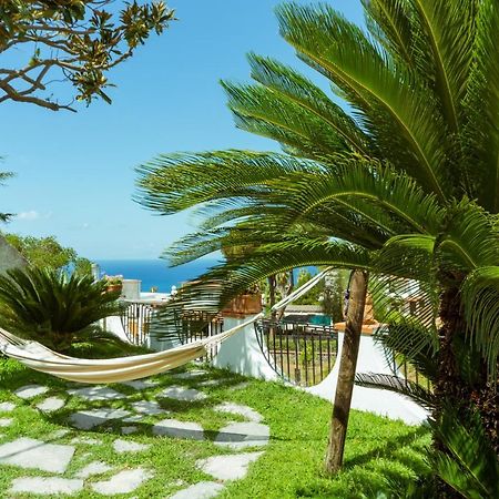 Villa Araucaria Casamicciola Terme Bagian luar foto