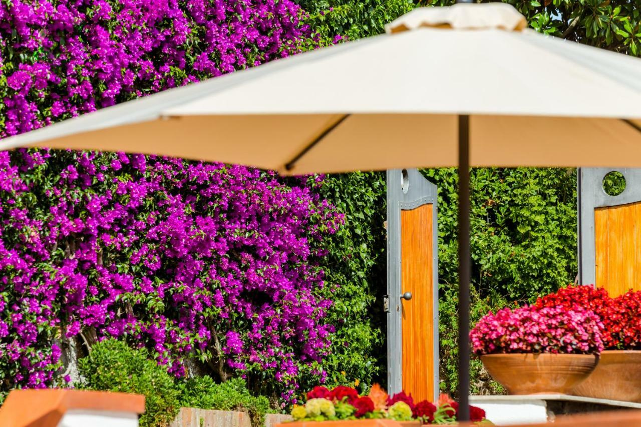 Villa Araucaria Casamicciola Terme Bagian luar foto